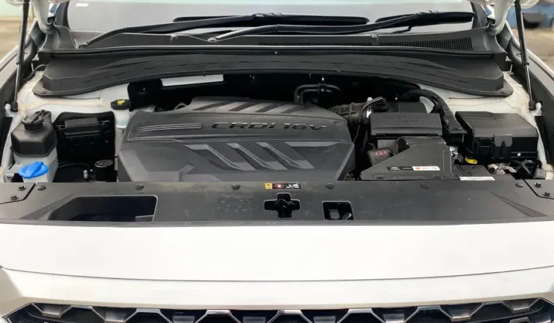 
								Hyundai Santa FE Elite 4×4 Diesel 2019 full									